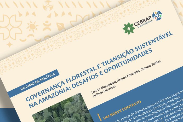 Policy Brief: Governança florestal e transição sustentável na Amazônia: desafios e oportunidades 