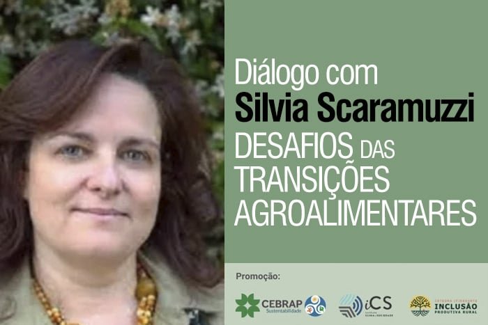 Diálogo com Silvia Scaramuzzi