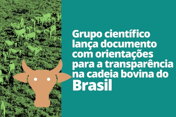 Grupo científico lança documento com orientações para a transparência na cadeia bovina do Brasil