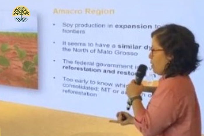 Trad Hub: Cebrap Sustentabilidade participa de evento sobre desafios e avanços no comércio agrícola sustentável