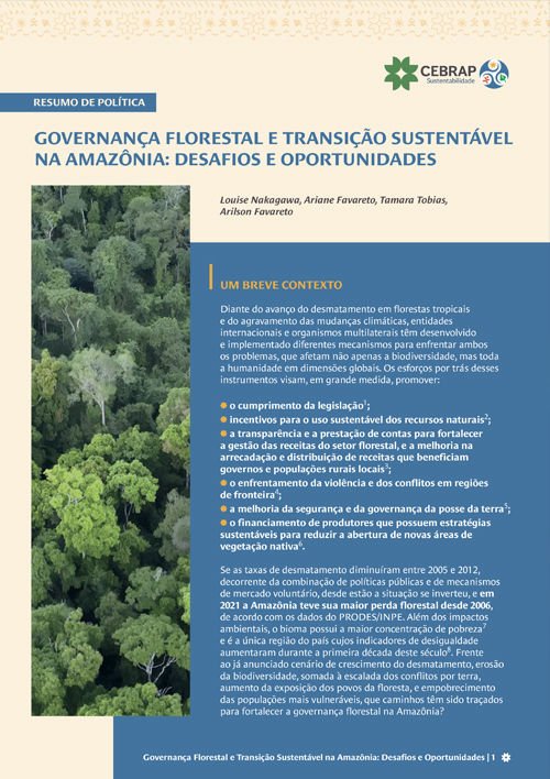 Policy Brief: Governança florestal e transição sustentável na Amazônia: desafios e oportunidades 